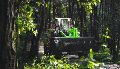Green Development